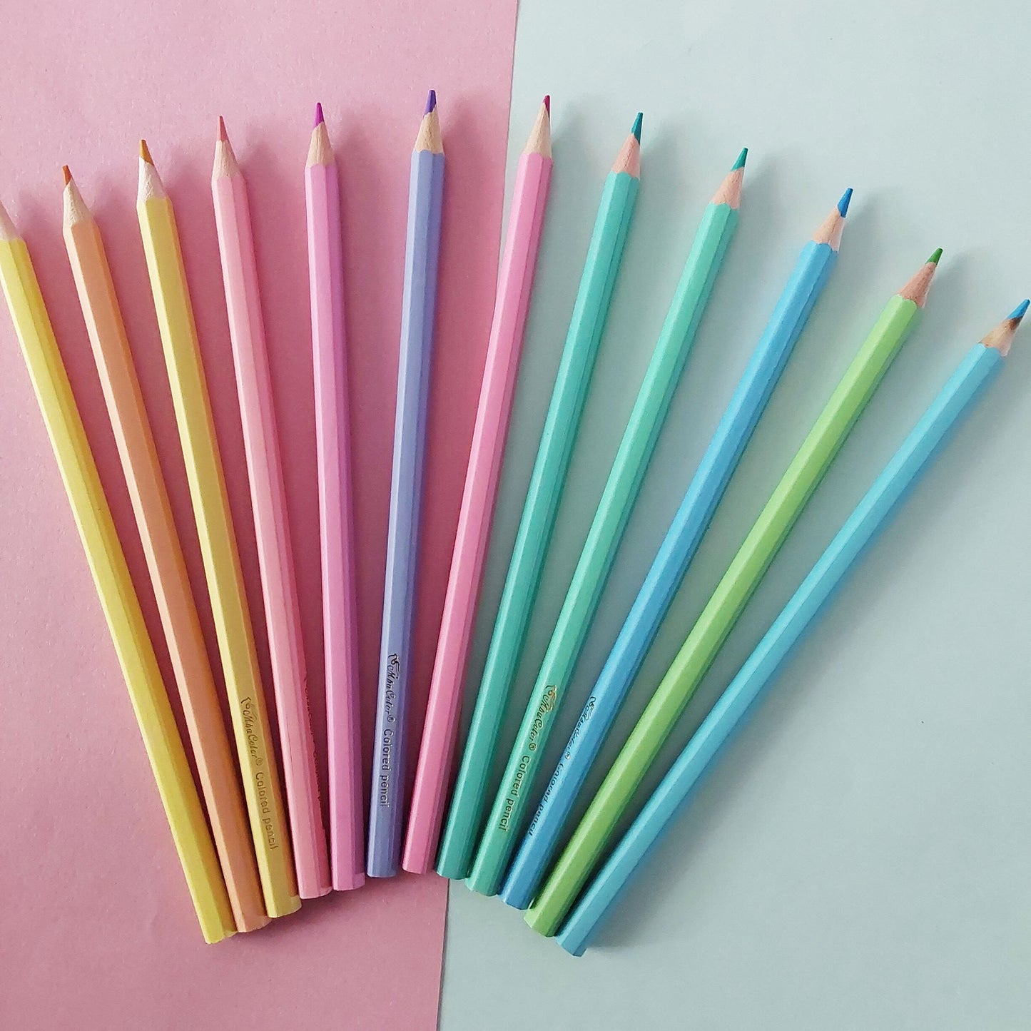 Multicolour Pastel Pencil Colour Crayons Set