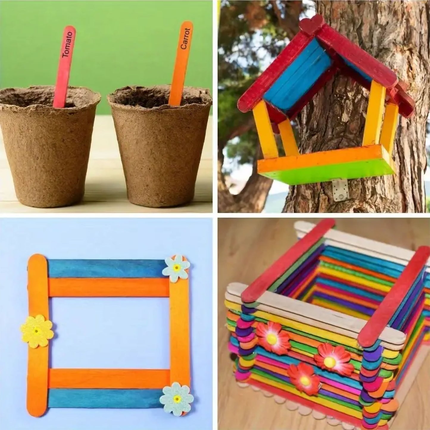 Wooden Popsicle Sticks for Craft.