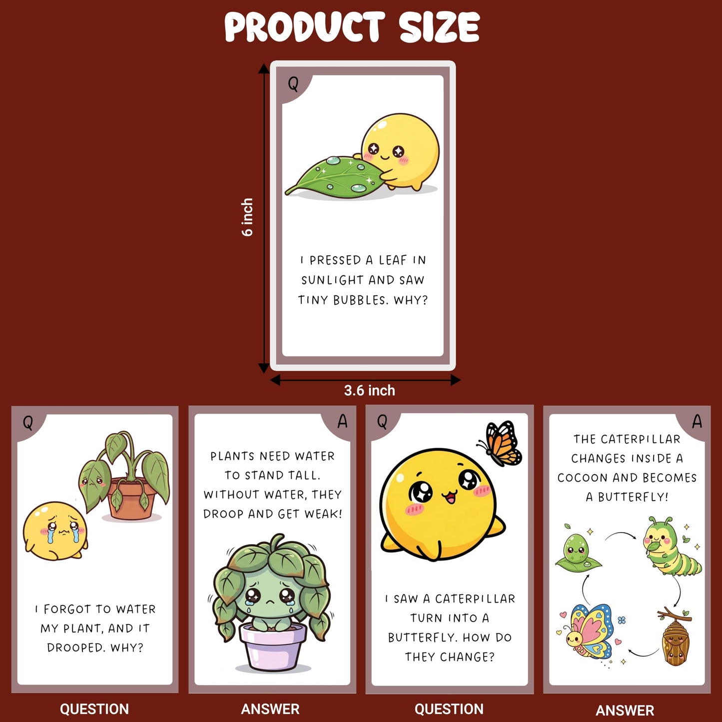 Multi-color Biology Science Flash Cards for Kids Set Paper. Additional product image showing more details of the craft product.