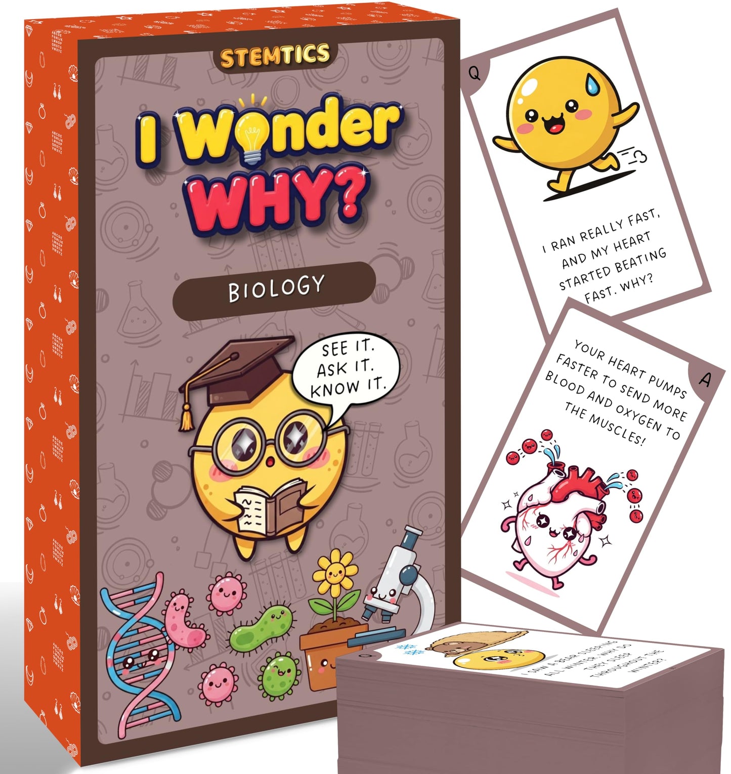Multi-color Biology Science Flash Cards for Kids Set Paper. Main product image showing the full product layout.