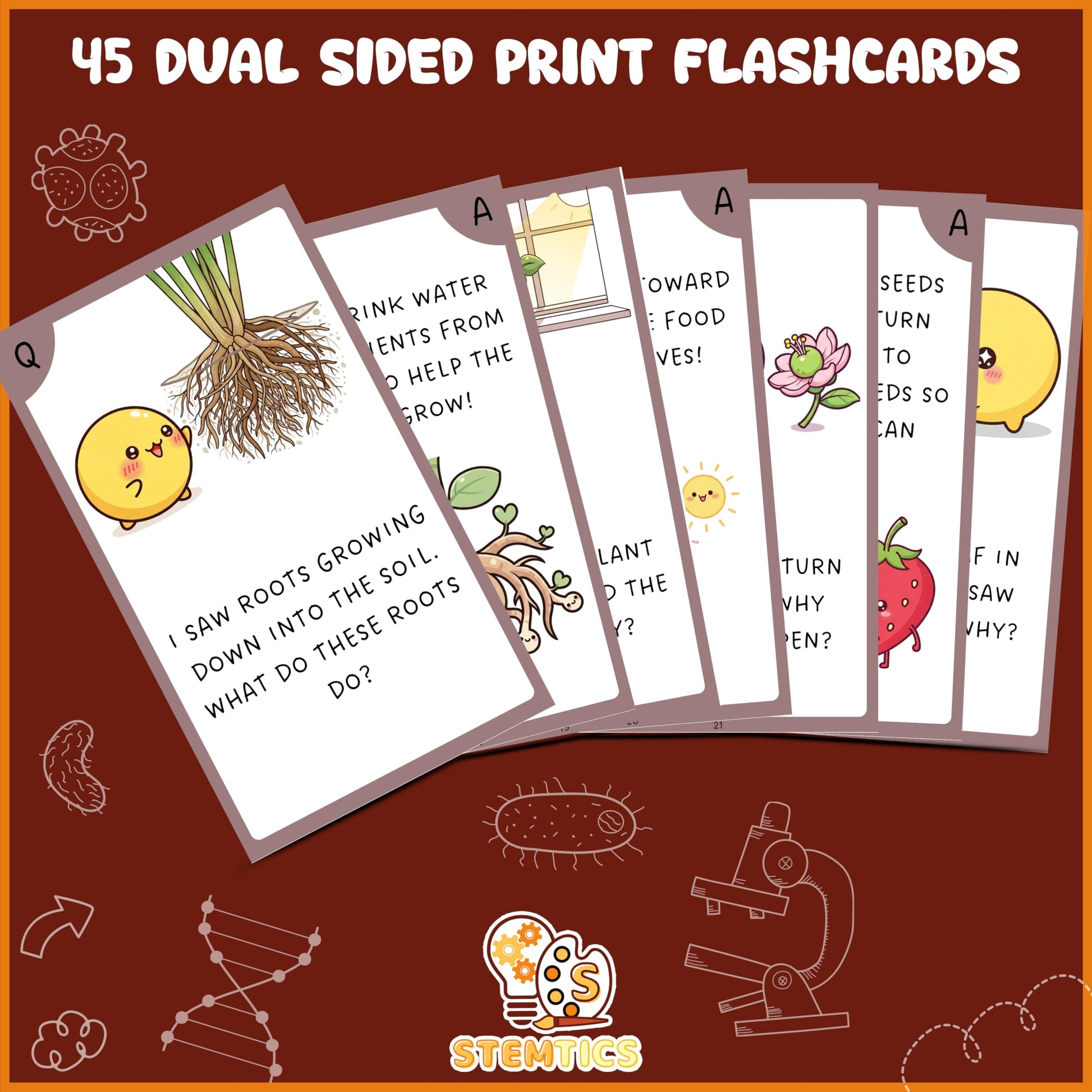 Multi-color Biology Science Flash Cards for Kids Set Paper. Close-up image showing product details and finish.