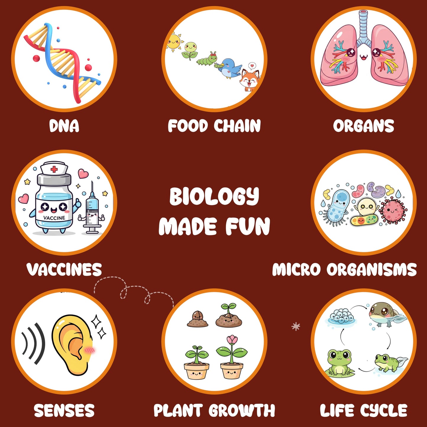 Multi-color Biology Science Flash Cards for Kids Set Paper. Alternate angle image showing product appearance and use.